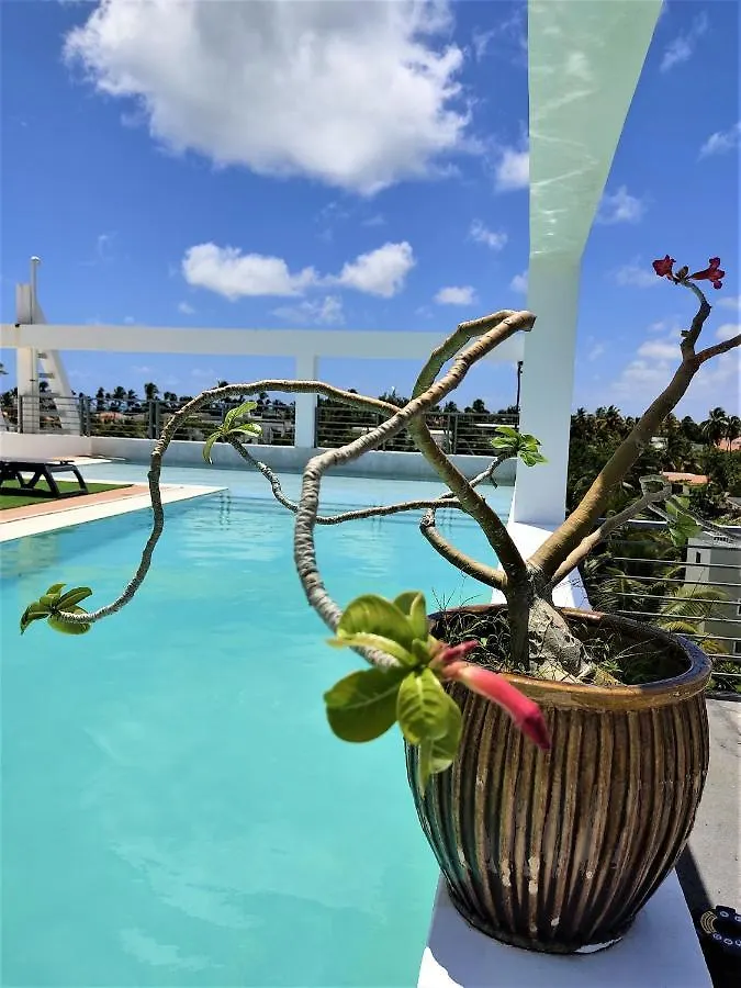 Superior Studio With Beach Access Aparthotel Punta Cana